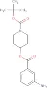 tert-Butyl 4-(3-aminobenzoyloxy)piperidine-1-carboxylate