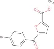 C-[1-(2,6-Dichloro-benzyl)-piperidin-4-yl]-methylamine hydrochloride