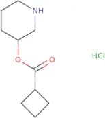 [1-(3-Methyl-pyrazin-2-yl)-piperidin-3-yl]-methanol