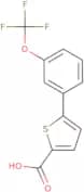 5-[3-(Trifluoromethoxy)phenyl]thiophene-2-carboxylic acid