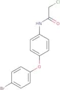 N-[4-(4-Bromophenoxy)phenyl]-2-chloroacetamide