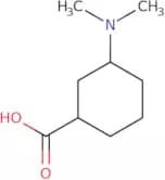 3-(Dimethylamino)cyclohexane-1-carboxylic acid