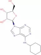 N6-Cyclohexyladenosine