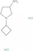 (S)-1-Cyclobutylpyrrolidin-3-amine dihydrochloride