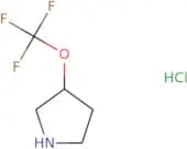 (3R)-3-(Trifluoromethoxy)pyrrolidine hydrochloride
