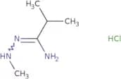 2-Methyl-N-(methylamino)propanimidamide hydrochloride