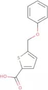 5-(Phenoxymethyl)thiophene-2-carboxylic acid