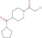 2-Chloro-1-[4-(pyrrolidine-1-carbonyl)piperidin-1-yl]ethan-1-one