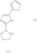 2-(Pyrrolidin-2-yl)-4-(thiophen-2-yl)-1H-imidazole dihydrochloride