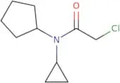 2-Chloro-N-cyclopentyl-N-cyclopropylacetamide