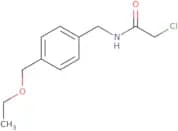 2-Chloro-N-{[4-(ethoxymethyl)phenyl]methyl}acetamide
