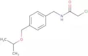2-Chloro-N-({4-[(propan-2-yloxy)methyl]phenyl}methyl)acetamide