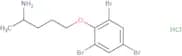 2-[(4-Aminopentyl)oxy]-1,3,5-tribromobenzene hydrochloride