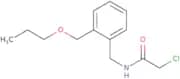 2-Chloro-N-{[2-(propoxymethyl)phenyl]methyl}acetamide