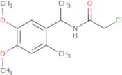 2-Chloro-N-[1-(4,5-dimethoxy-2-methylphenyl)ethyl]acetamide