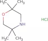 2,2,5,5-Tetramethylmorpholine hydrochloride