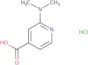 2-(Dimethylamino)pyridine-4-carboxylic acid hydrochloride