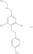({3,5-Dimethyl-4-[(4-methylphenyl)methoxy]phenyl}methyl)(ethyl)amine hydrochloride