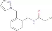 2-Chloro-N-{[2-(1H-pyrazol-1-ylmethyl)phenyl]methyl}acetamide