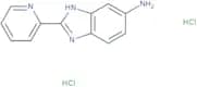 2-(Pyridin-2-yl)-1H-1,3-benzodiazol-5-amine dihydrochloride