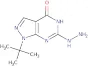 1-tert-Butyl-6-hydrazinyl-1H,4H,5H-pyrazolo[3,4-d]pyrimidin-4-one