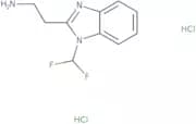 2-[1-(Difluoromethyl)-1H-1,3-benzodiazol-2-yl]ethan-1-amine dihydrochloride