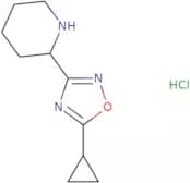 2-(5-Cyclopropyl-1,2,4-oxadiazol-3-yl)piperidine hydrochloride