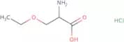(2S)-2-Amino-3-ethoxypropanoic acid hydrochloride
