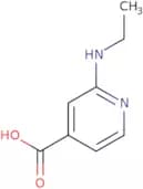 2-(Ethylamino)isonicotinic acid