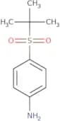 4-(2-Methylpropane-2-sulfonyl)aniline