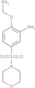 2-Ethoxy-5-(morpholine-4-sulfonyl)aniline