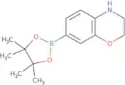 3,4-Dihydro-2H-benzo[b][1,4]oxazine-7-boronic acid pinacol ester