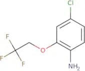 4-Chloro-2-(2,2,2-trifluoroethoxy)aniline