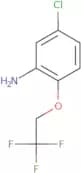 5-Chloro-2-(2,2,2-trifluoroethoxy)aniline