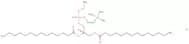14:0 Epc (Cl salt)