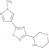 3-[5-(1-Methyl-1H-pyrazol-4-yl)-1,2,4-oxadiazol-3-yl]morpholine