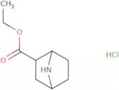 7-azabicyclo[2.2.1]heptane-2-carboxylic acid ethyl ester hydrochloride