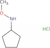 N-Methoxycyclopentanamine hydrochloride
