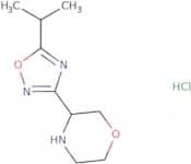 3-[5-(Propan-2-yl)-1,2,4-oxadiazol-3-yl]morpholine hydrochloride