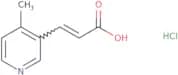 3-(4-Methylpyridin-3-yl)prop-2-enoic acid hydrochloride