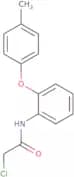 2-Chloro-N-[2-(4-methylphenoxy)phenyl]acetamide