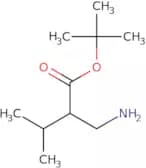 tert-Butyl 2-(aminomethyl)-3-methylbutanoate