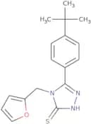 5-(4-tert-Butylphenyl)-4-(furan-2-ylmethyl)-4H-1,2,4-triazole-3-thiol