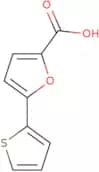5-(Thiophen-2-yl)furan-2-carboxylic acid