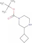 tert-Butyl 3-cyclobutylpiperazine-1-carboxylate