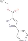 Ethyl 3-(pyridin-4-yl)pyrazole-5-carboxylate