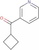 3-Cyclobutanecarbonylpyridine