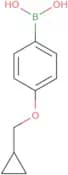 4-(Cyclopropylmethoxy)phenylboronic acid