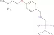 Dimethyl[2-methyl-1-({[4-(3-methylbutoxy)phenyl]methyl}amino)propan-2-yl]amine