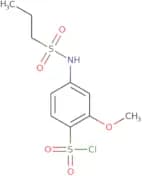 2-Methoxy-4-(propane-1-sulfonamido)benzene-1-sulfonyl chloride